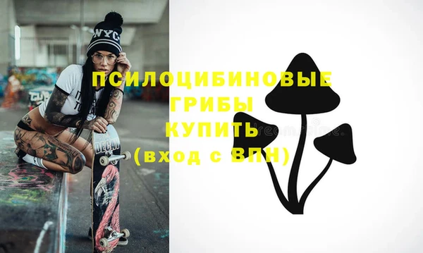 дмт Горняк