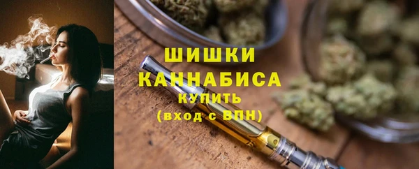 дмт Горняк