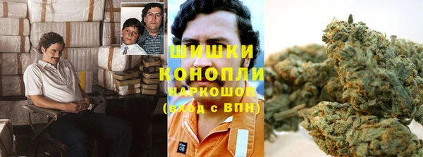 ALPHA PVP Горнозаводск