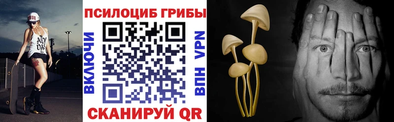 shop Telegram  Березники  Галлюциногенные грибы Magic Shrooms 